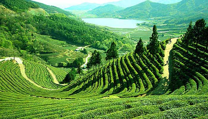 গৌহাটি, অসাম 