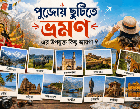 Durga Pujta Travel