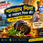 শালগ্রাম শিলা